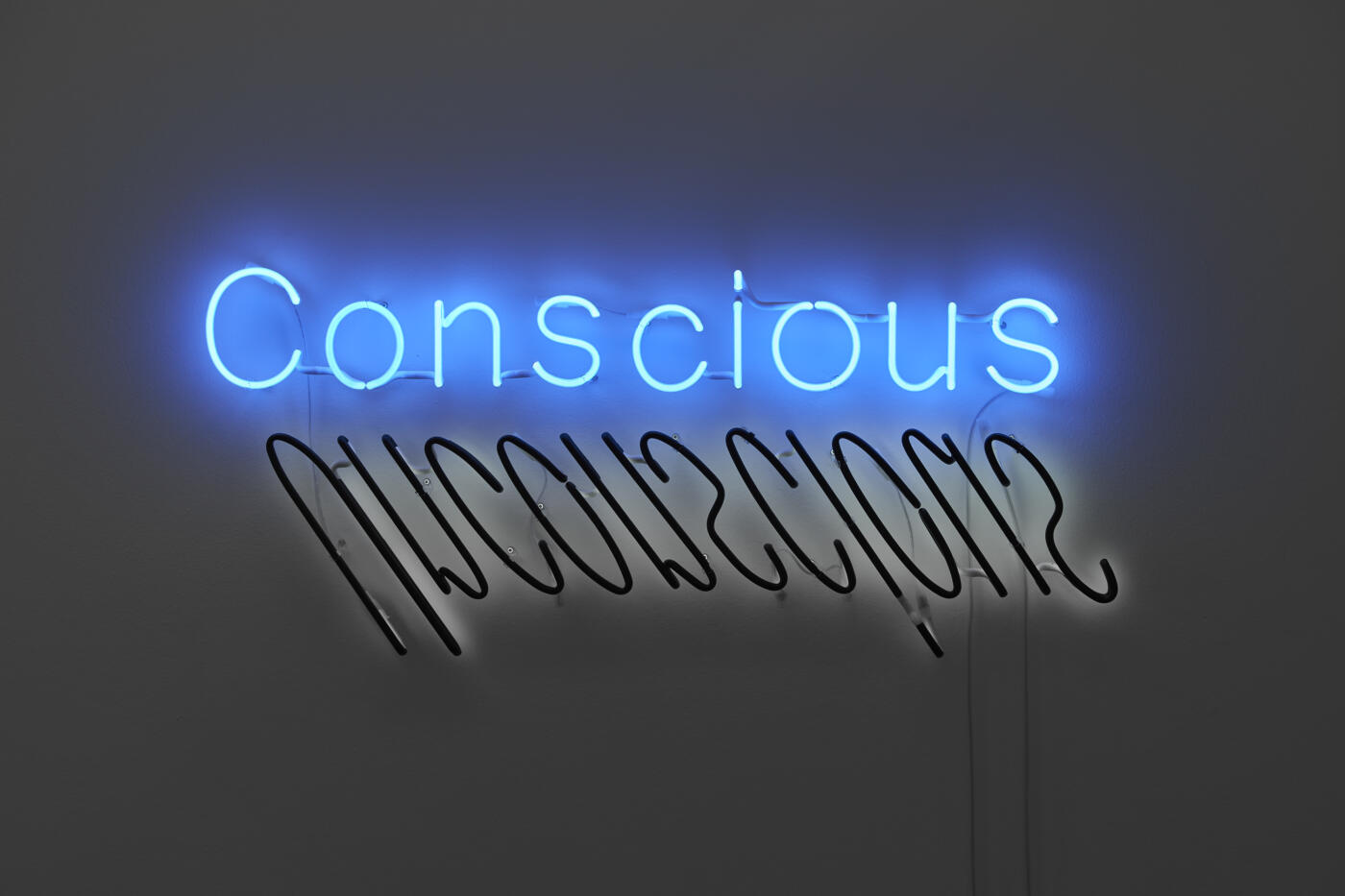 Conscious/Unconscious neon sign