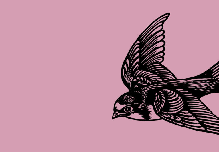 illustration of a bird in flight