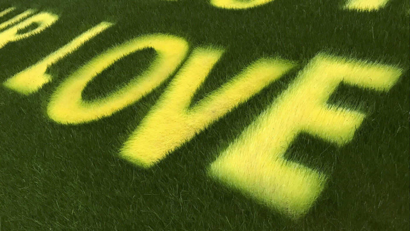 Grass artwork spelling the word Love