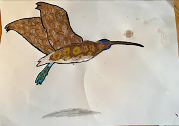 childs drawing of a bird