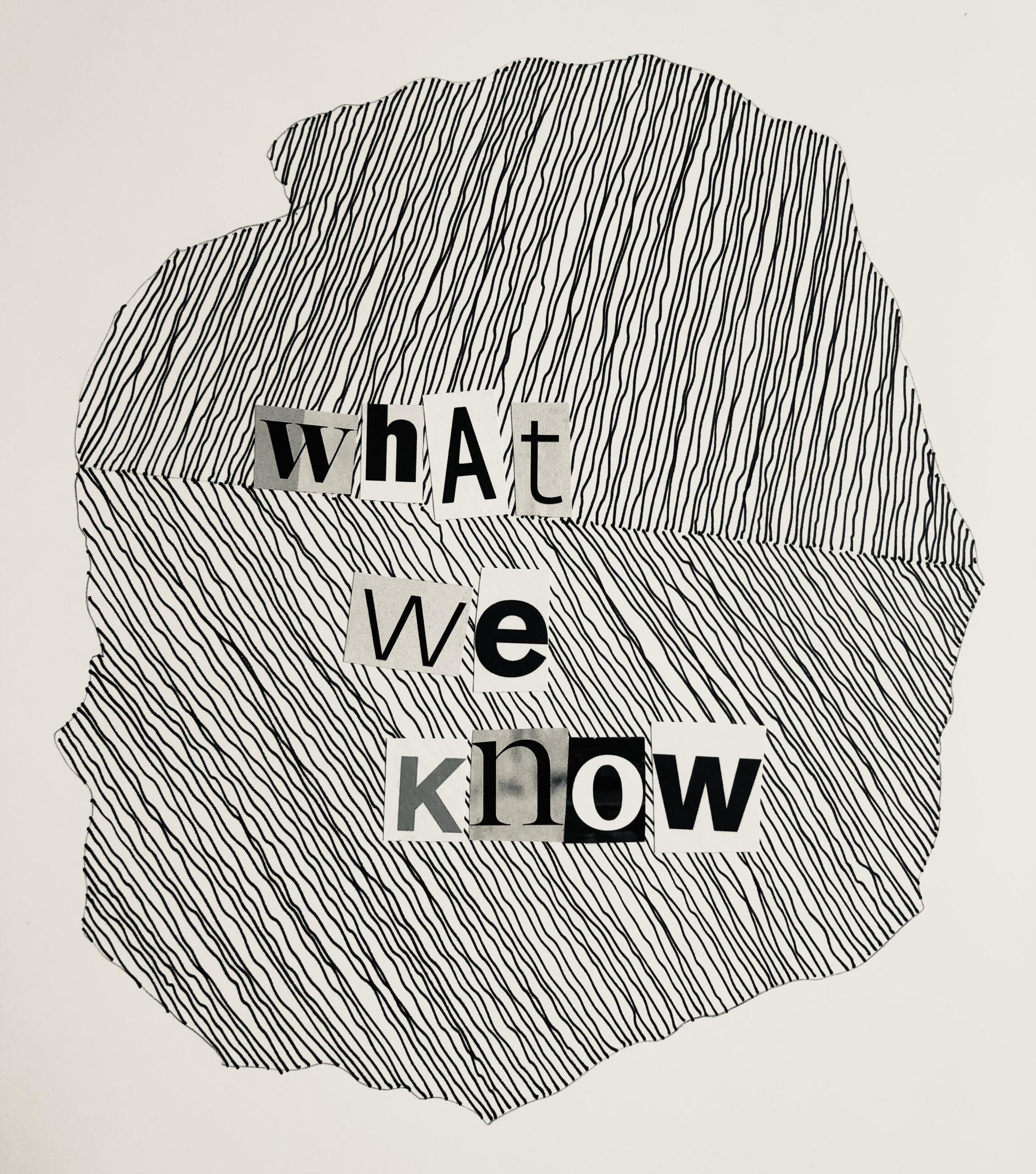 An abstract drawing of circles and lines, with letters cut in various styles collaged over that reads "what we know"
